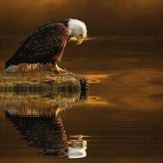 Kayhan54275449's profile picture. 