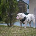 Adrian Alejo - @marvelouskb - Twitter