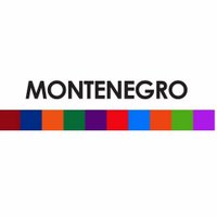Montenegro Paper, Ltd.(@montepaper) 's Twitter Profile Photo