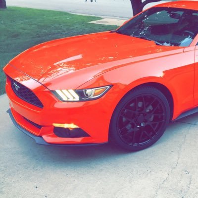 Carter5530's profile picture. Golf Sports eSports MLB NBA NFL