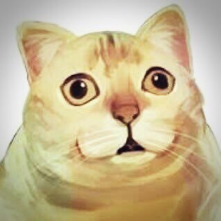 Spiegelei08's profile picture. ROM専です