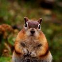 marcus mendiola - @chewawasrdabest - Twitter