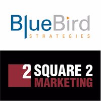 BlueBird Strategies(@bbstrategies) 's Twitter Profile Photo