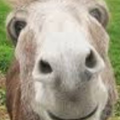 beatnik_tussler's profile picture. 