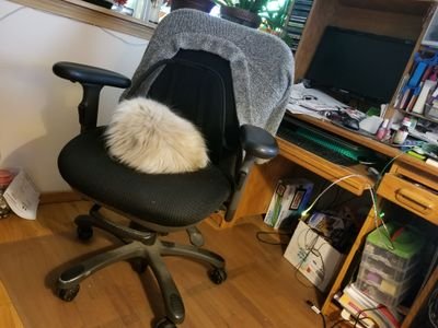 jcmhansen's profile picture. Nothing to disclose, not a bot, hater, or troll. Independent. eye on the prize. #wa08 resident #CountryOverParty