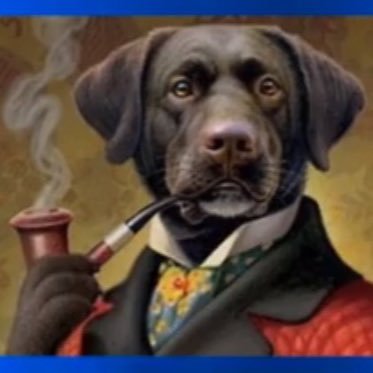 GarciaRebel71's profile picture. 