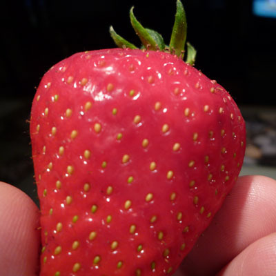 foodunited's profile picture. Making food 'history' one bite (and slurp) at a time.