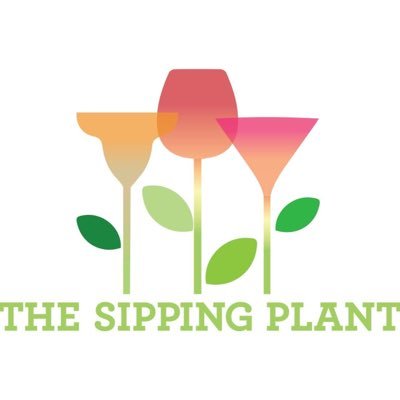 Now Available in Atlanta! Spice up your next happy hour with a Sipping Plant event. Build a custom table-top terrarium while you enjoy drinks with friends!