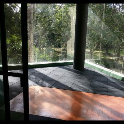 LeonMikeyTrades's profile picture. 