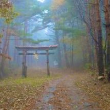 voicemap_'s profile picture. めでるとあてけほづ