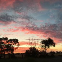 Brigi (@bridgy12) 's Twitter Profile Photo