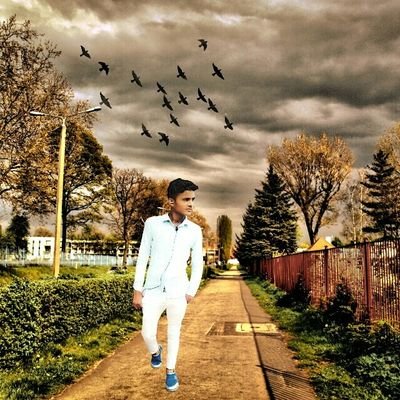 Sameerm95555048's profile picture. 