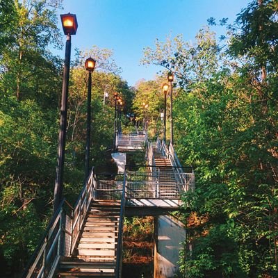 you may have heard of me, I'm kind of a big deal around here. #HamOntStairs

https://t.co/ry4QXaUsKZ

headshot courtesy of @FortElgin