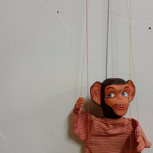 VerticalityRex's profile picture. mostly harmless