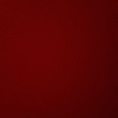 sggjygdscgftg's profile picture. 