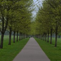 Zara Mader (@diverselens) 's Twitter Profile Photo Zara Mader (@diverselens) 's Twitter Profile Photo