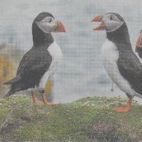 Folkestone Magazine (@folkestonemagaz) Twitter profile photo