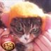 みっく₍˄·͈༝·͈˄₎◞ ̑̑ෆ⃛ (@mick_2z) Twitter profile photo みっく₍˄·͈༝·͈˄₎◞ ̑̑ෆ⃛ (@mick_2z) Twitter profile photo