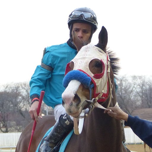 unabashed happiness. horse noses. #CuteNoseAlert makes Twitter cuter.