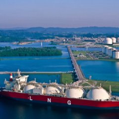 MarineOGblog's profile picture. 