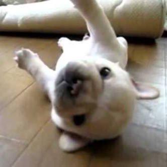 kingkazu51's profile picture. 2022/1-ドイツ在住。仕事柄可愛い女の子はフォローしがち。英語/ドイツ語/オランダ語学習中。