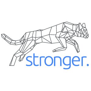 Cybersecurity. Consulting. Training. 
Delivering high quality customized solutions for your organization — no matter the size.