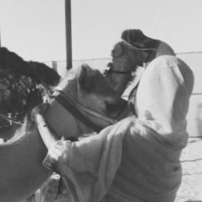 ‏‏‏كنجْمةساطِعة لا تسقُط.