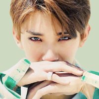 Hong Jisoo (@svtjoshuaa17) Twitter profile photo