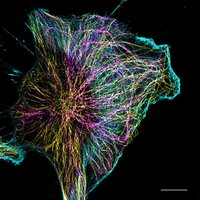 Etienne-Manneville Lab (@etiennemannevil) 's Twitter Profile