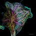 Etienne-Manneville Lab (@etiennemannevil) Twitter profile photo Etienne-Manneville Lab (@etiennemannevil) Twitter profile photo