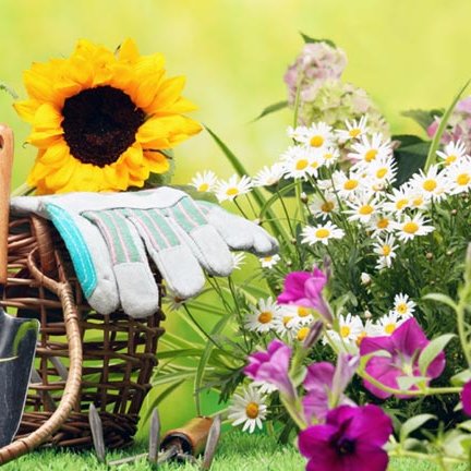 dachnaya701's profile picture. 