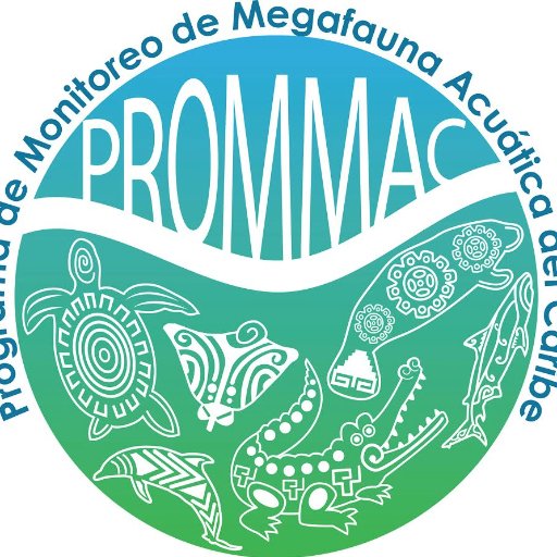 Programa de Monitoreo de Megafauna Acuática del Caribe Mexicano. 

Este es un programa de #CatedrasConacyt.