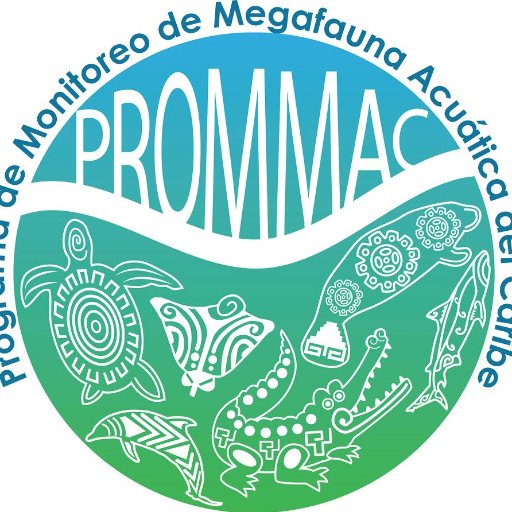 prommacmexico's profile picture. Programa de Monitoreo de Megafauna Acuática del Caribe Mexicano. 

Este es un programa de #CatedrasConacyt.
