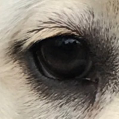 peterwilson3's profile picture. Pennsylvania