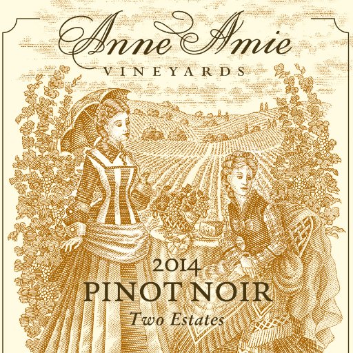 Focusing on Pinot Noir, Pinot Gris, and Pinot Blanc, with Gamay Noir and Old-Vine Müller Thurgau complementing the Pinot family.