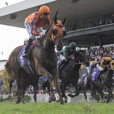 Group one  breeders with a long successful history in the thoroughbred industry. 2016-17 NZ Breeder of the year.