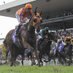 William Fell (@goodwoodstud) Twitter profile photo William Fell (@goodwoodstud) Twitter profile photo
