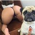 Guillermo (@el3patas_) Twitter profile photo Guillermo (@el3patas_) Twitter profile photo