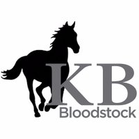 KB Bloodstock (@kbbloodstock) 's Twitter Profile