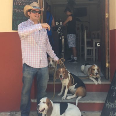 donandresivan's profile picture. Director de la agencia de publicidad BARRACUDA