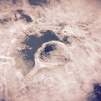 Lu-Yang Wang (@synaptictweeter) 's Twitter Profile Photo Lu-Yang Wang (@synaptictweeter) 's Twitter Profile Photo