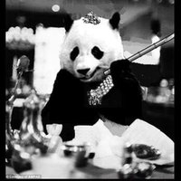 Princess Pinky 1st of Her Name & Mother of Pandas(@pinkypanda0823) 's Twitter Profile Photo