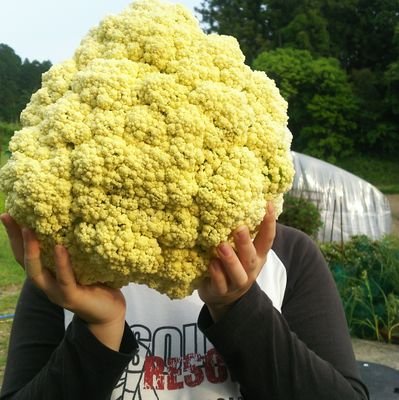 岐阜県の中山間地で農業に奮闘する一児の母「きなぁた瑞浪」「多治見市駅北ファーム」「イオンモール土岐店」に出荷中((o(^∇^)o))
Instagram中心だが時々愚痴をぶちまける垢