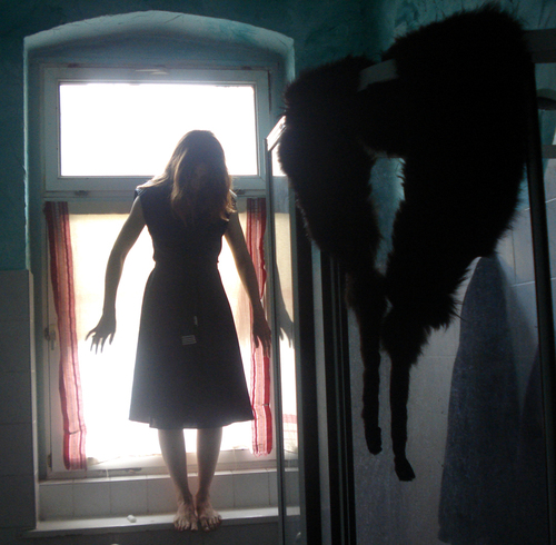 RLoYche's profile picture. 