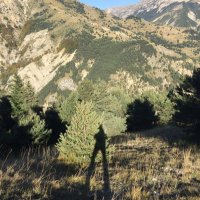 goldenwhip (@goldenwip) 's Twitter Profile Photo