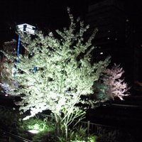 FS_talK@消費税廃止 (@stalk_f) 's Twitter Profile