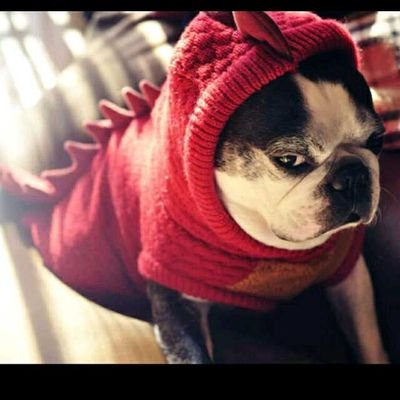 Ar0vjsIAOS2tg0h's profile picture. 