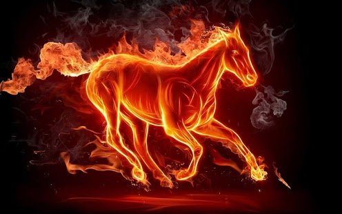 blazebog234's profile picture. 