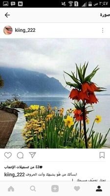 lLPhpFMxvD9Egla's profile picture. tjjfssjjfzzz