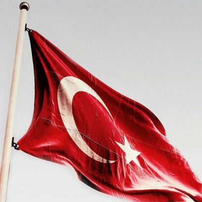 OZGEEE06's profile picture. Ankara 🏠
Hacettepe Üniversitesi 🎓
Anadolu Üniversitesi 🎓
Ailem herşeyim 💕
GALATASARAY 💛❤
Bugünümüze şükürler olsun 🙏